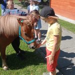 phoca_thumb_m_ponk 71 Fotogalerie